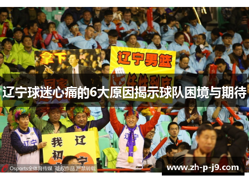 辽宁球迷心痛的6大原因揭示球队困境与期待 辽宁球迷心痛的6大原因揭示球队困境与期待