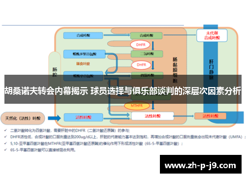 胡桑诺夫转会内幕揭示 球员选择与俱乐部谈判的深层次因素分析 胡桑诺夫转会内幕揭示 球员选择与俱乐部谈判的深层次因素分析