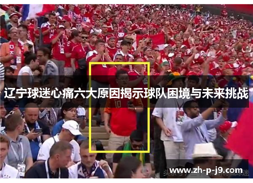 辽宁球迷心痛六大原因揭示球队困境与未来挑战