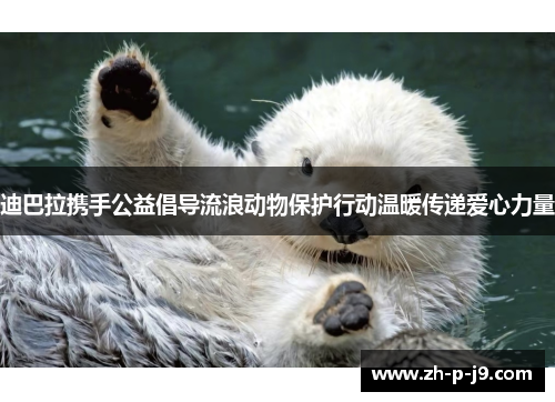 迪巴拉携手公益倡导流浪动物保护行动温暖传递爱心力量