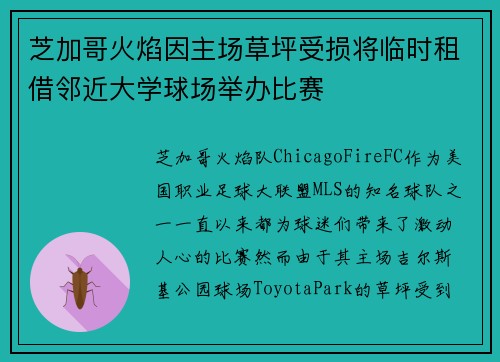 芝加哥火焰因主场草坪受损将临时租借邻近大学球场举办比赛 芝加哥火焰因主场草坪受损将临时租借邻近大学球场举办比赛